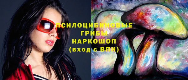 спиды Аркадак